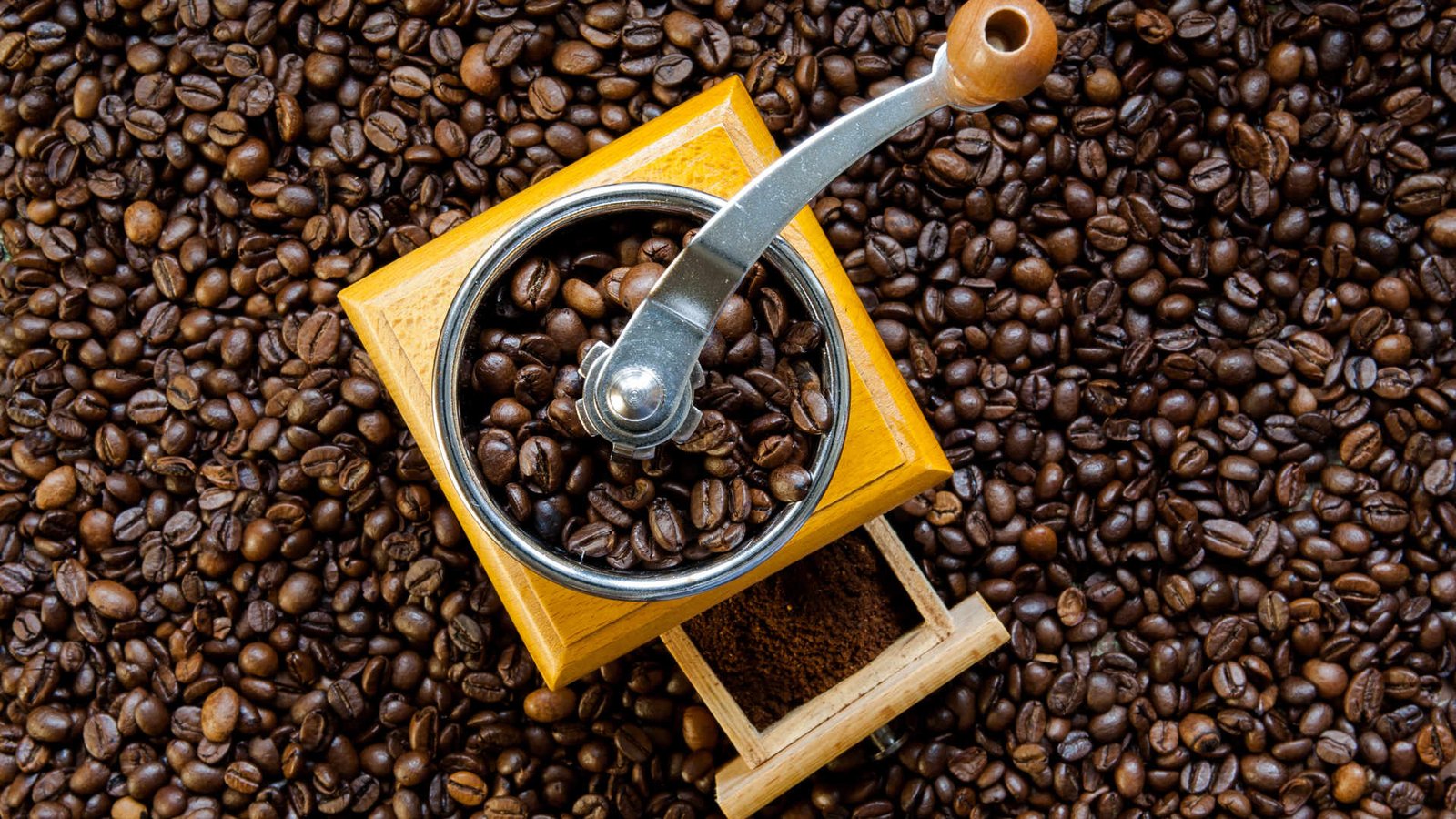 Is it possible to predict user behavior?